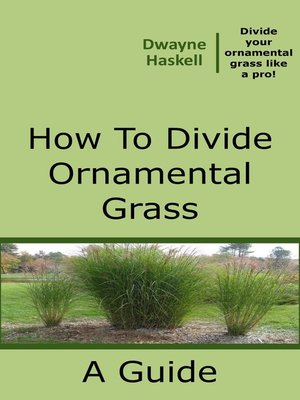 cover image of How to Divide Ornamental Grass